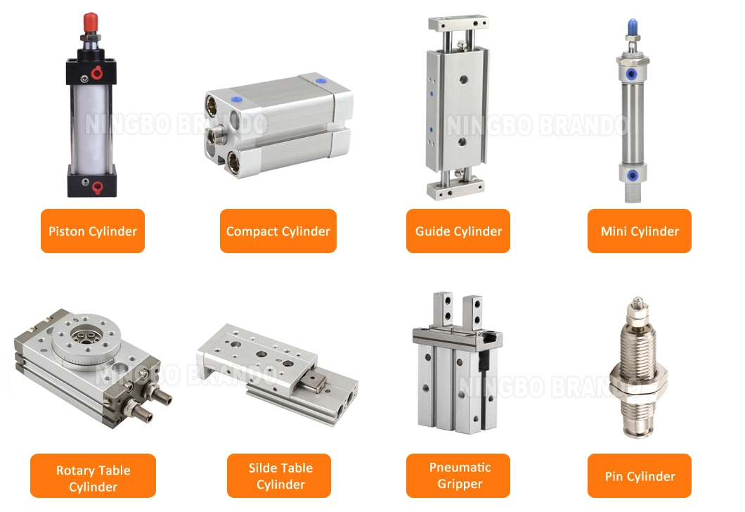 TN Series Dual Rod Guided Pneumatic Air Cylinder TN10/16/20/25/32X10/20/30/40/50/60/70/80/90/100/125/150/175/200S