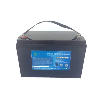 Batterie de stockage d'énergie verte Elite 24V 50ah LiFePO4 Batterie Li-ion EV RV Batterie