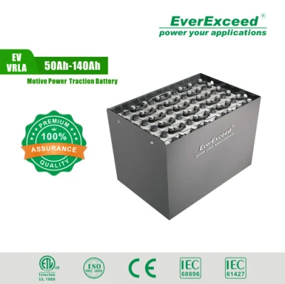 Batterie de traction inondée tubulaire rechargeable Everexceed pour camion/chariot élévateur/véhicule/Electric-Power 2pzb/3pzb/4pzb/5pzb/6pzb/7pzb/8pzb/9pzb/10pzb/2-13pzs/Csv